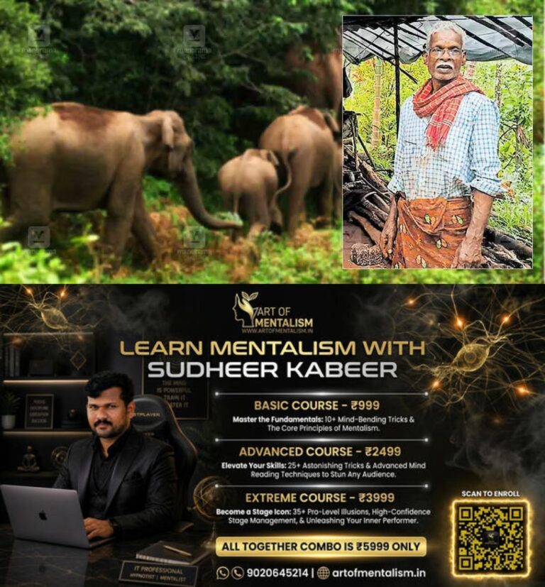 newskerala.net_1780309208_kannur-wild-elephant-rajagiri-unnathi