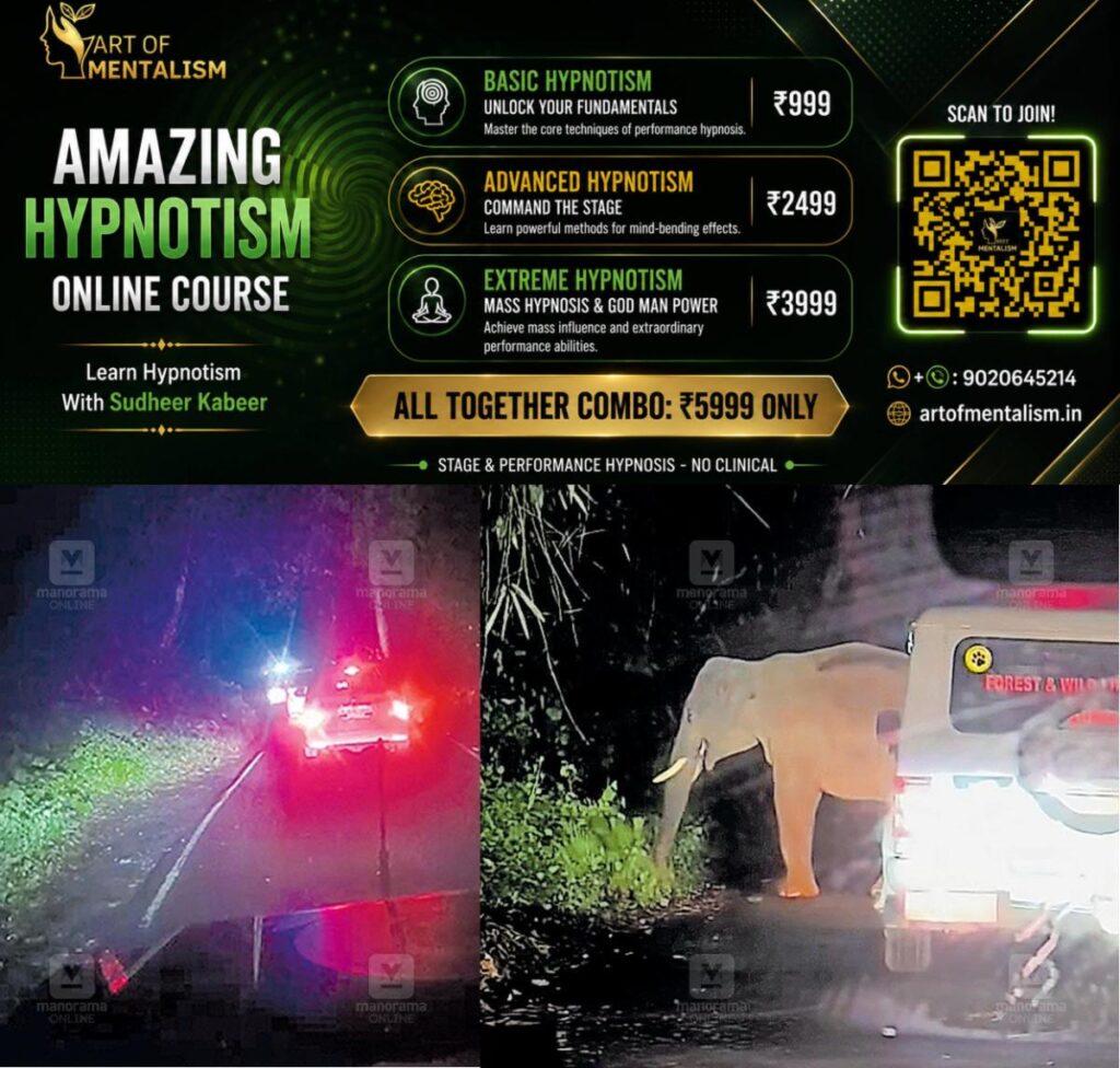 newskerala.net_1780365911_wild-elephant-in-front-of-minister