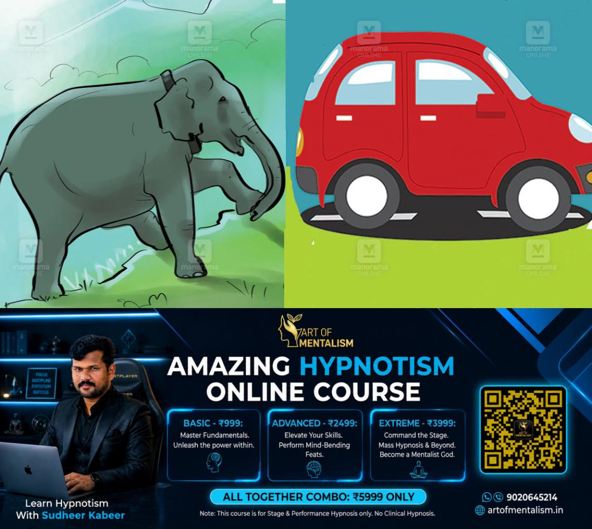 newskerala.net_1780374370_elephant-car-attack