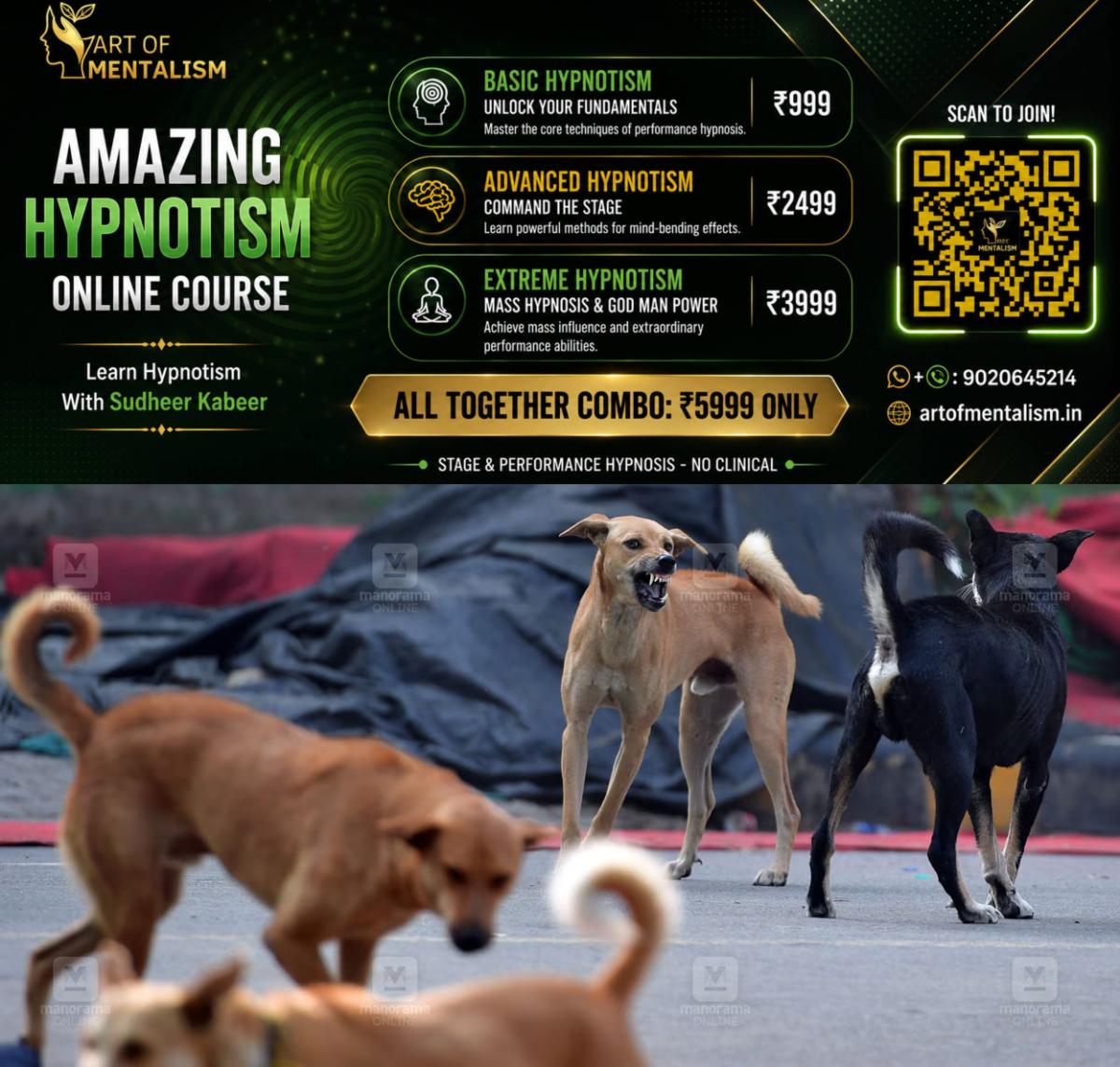 newskerala.net_1780462812_Stray-dog-fight