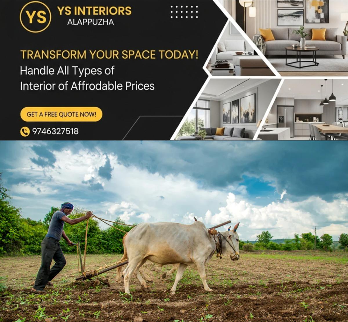 newskerala.net_1780660931_indian-farmer-bull-main