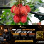 newskerala.net_1780747153_rambutan-fruit-1
