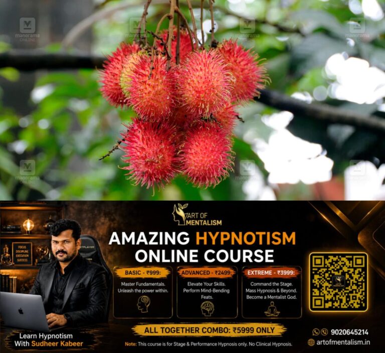 newskerala.net_1780747153_rambutan-fruit-1