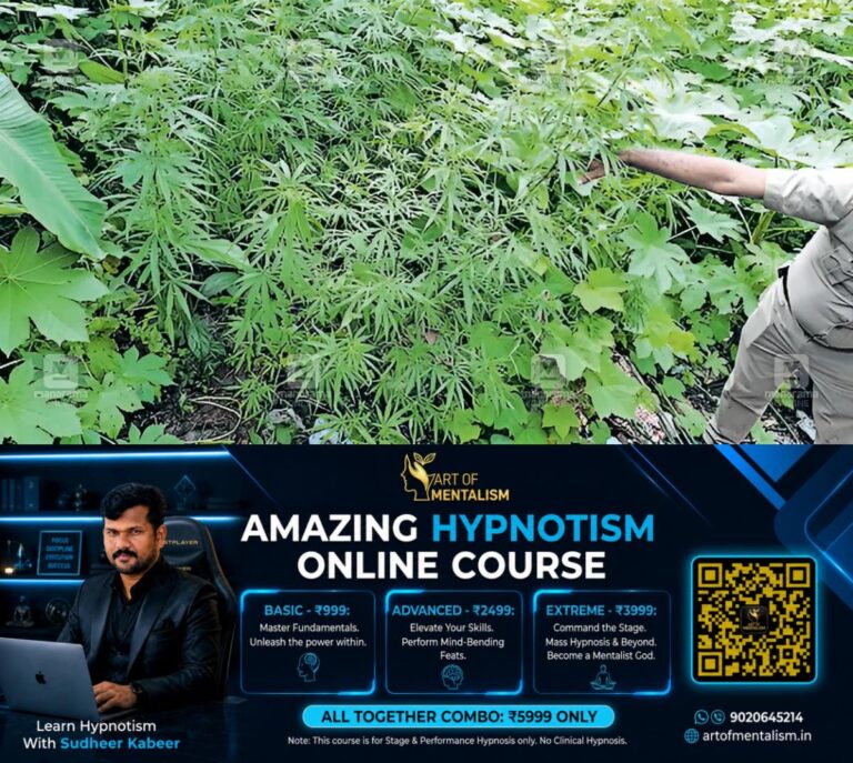 newskerala.net_1780888448_cannabis-plants-aluva-1