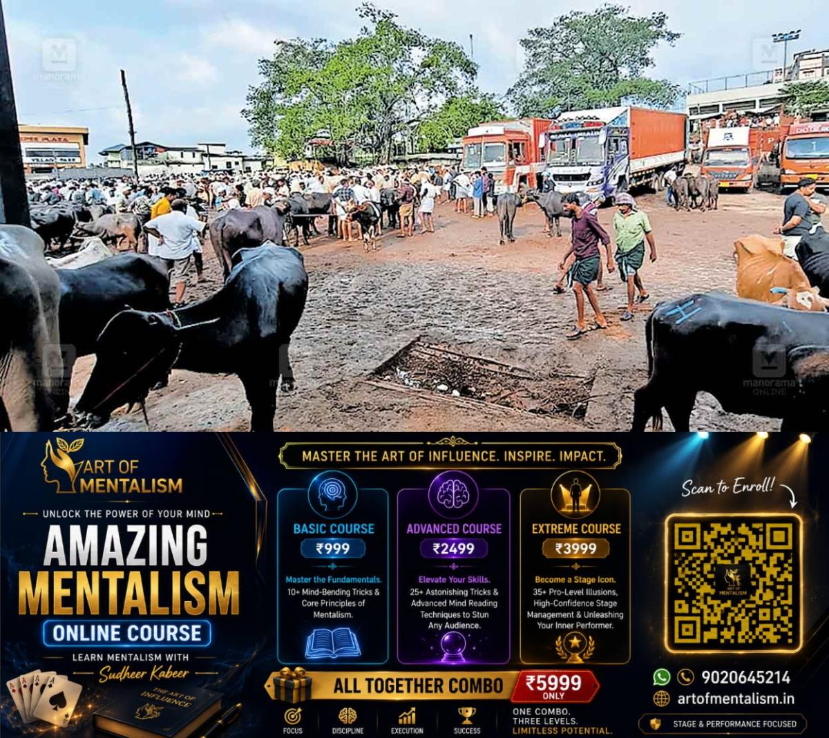 newskerala.net_1780906448_cattle