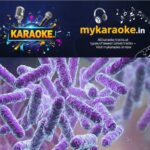 newskerala.net_1780936927_shigella-new