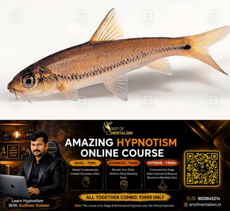 newskerala.net_1781161448_eechathalakenda-incognita-1