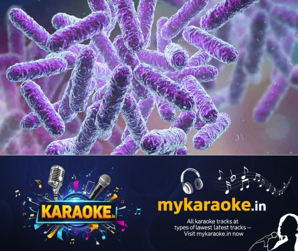 newskerala.net_1781186774_shigella-new