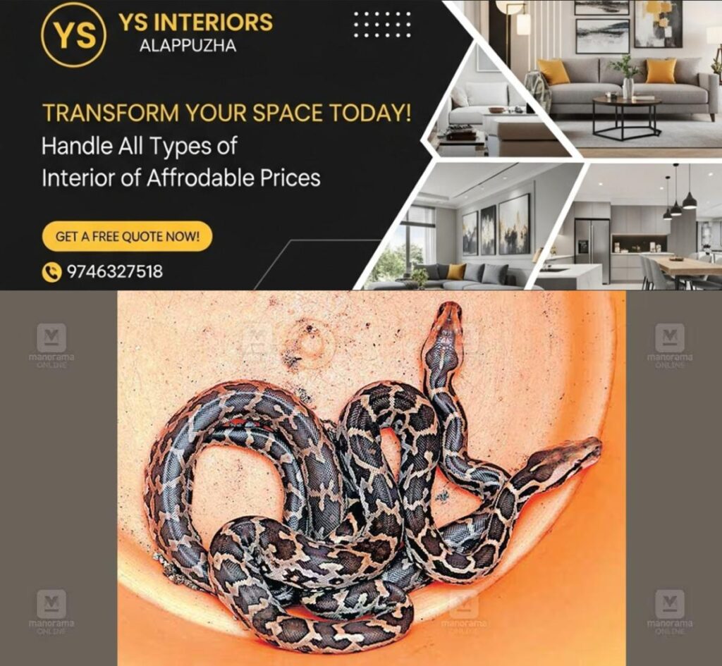 newskerala.net_1781333537_python