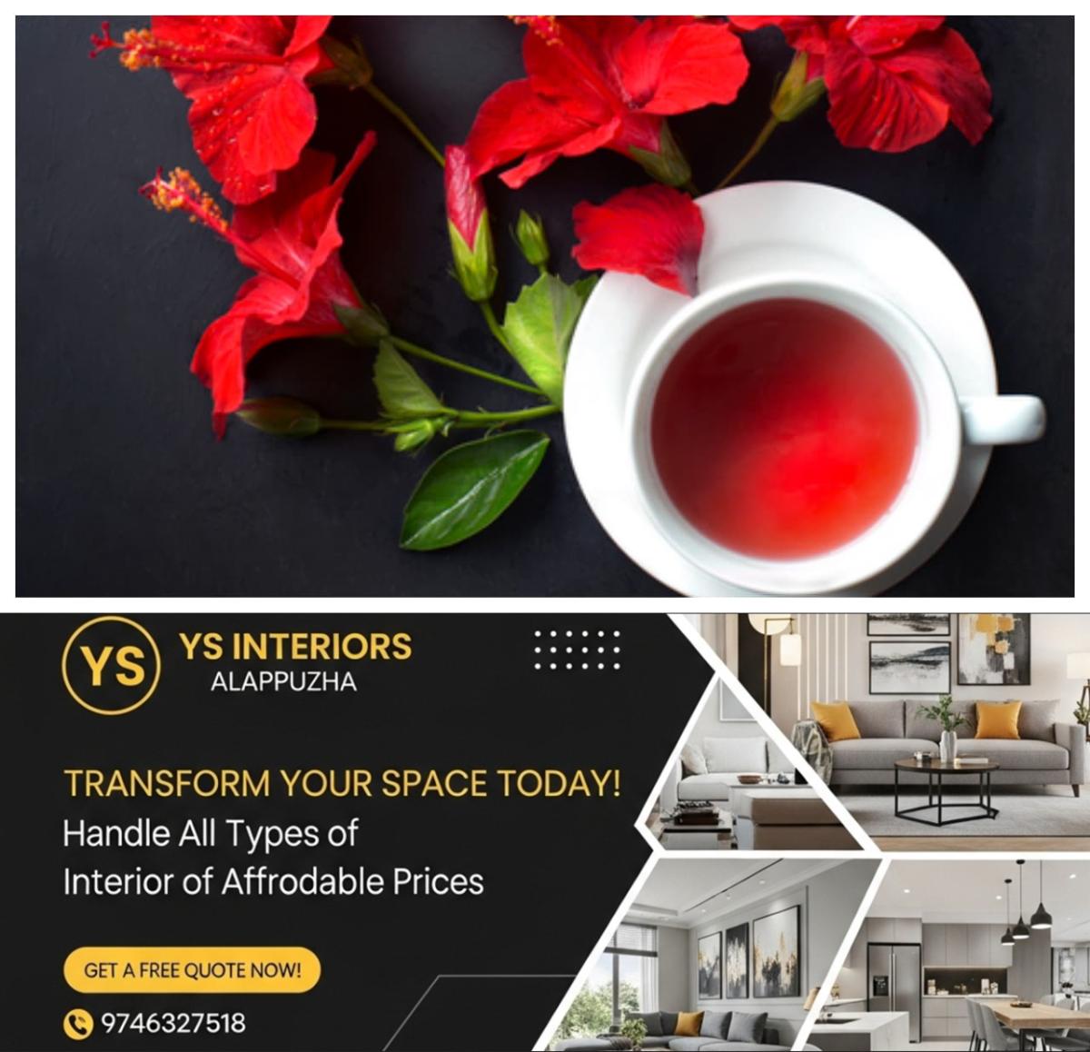 newskerala.net_1781338986_w-1280h-720format-jpgimgid-01khn95hxywzbp3asdk9jra8hvimgname-fotojet-2026-02-17t125519.905-177