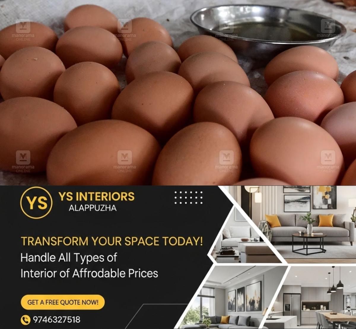 newskerala.net_1781356571_egg