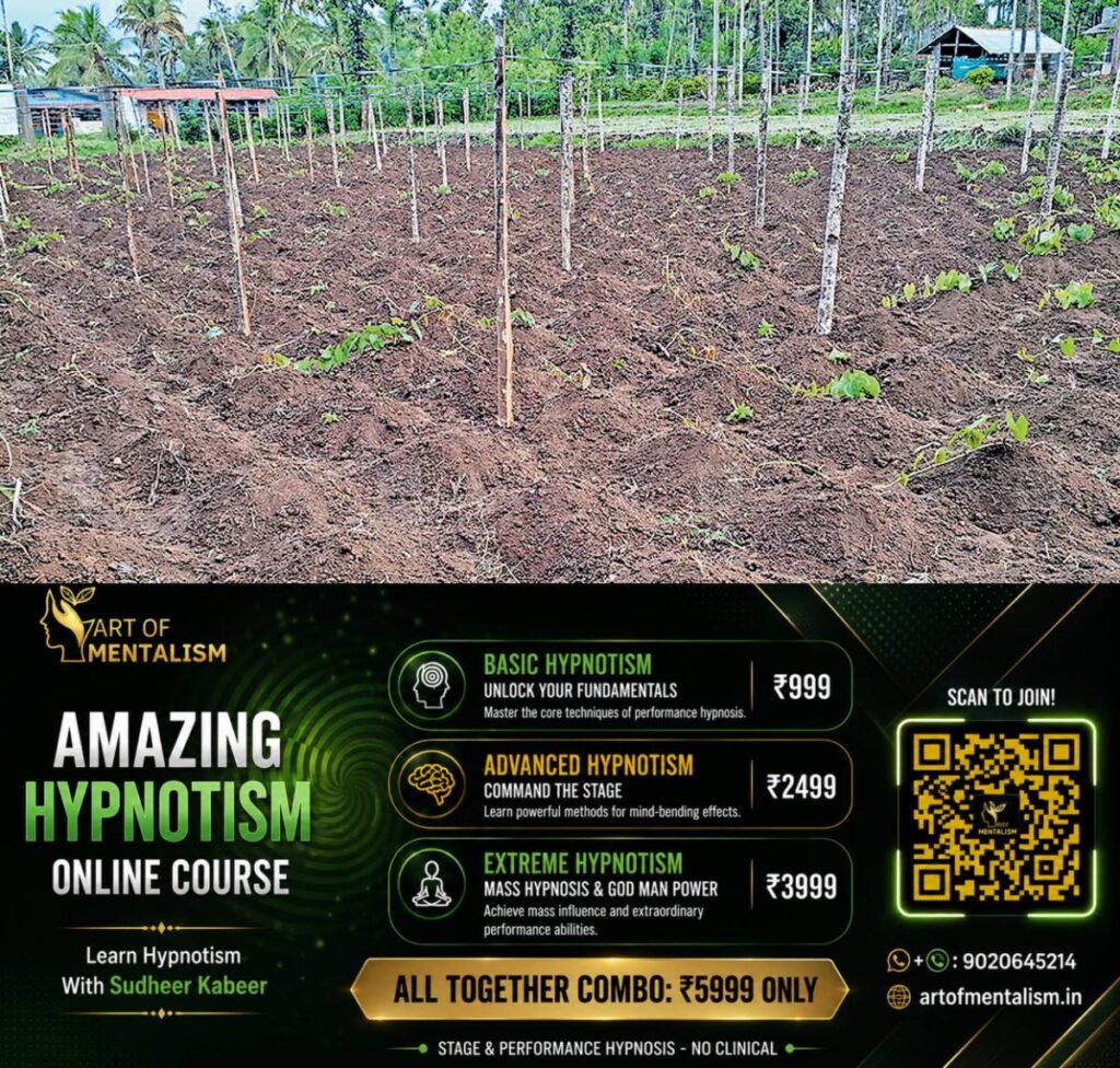 newskerala.net_1781506390_wayanad-agriculture