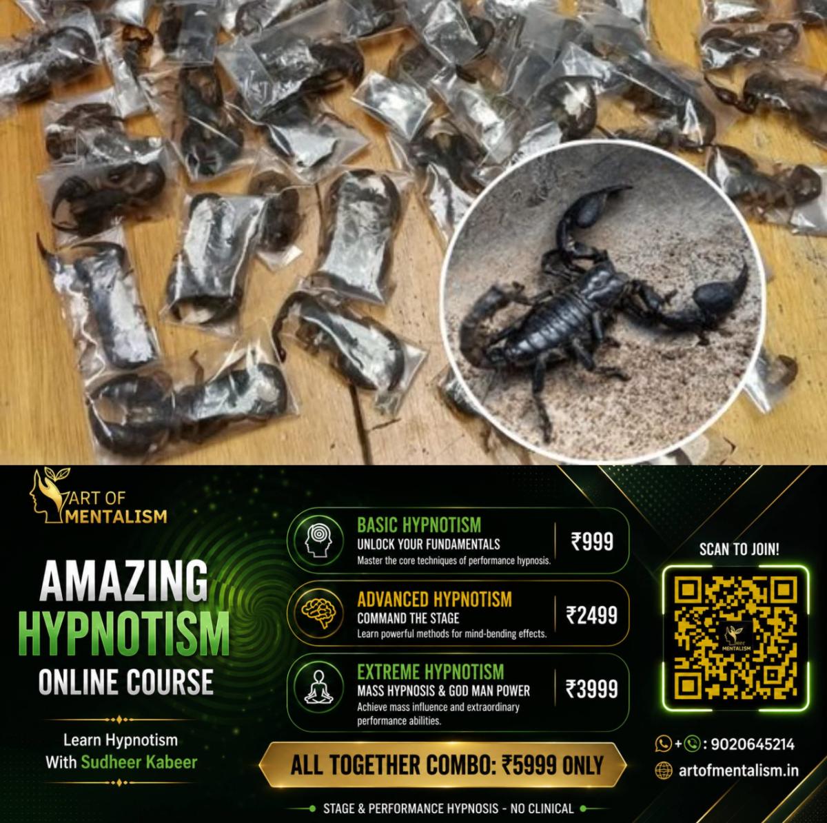 newskerala.net_1781542815_w-1280h-720format-jpgimgid-01kv6360qc286bdvr872b5n6yaimgname-scorpions-1781542355692