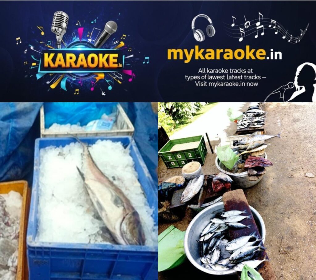 newskerala.net_1781552767_w-1280h-720format-jpgimgid-01kv6b7pkprbd2jz6cczw5rkdwimgname-stale-fish-1781550799471