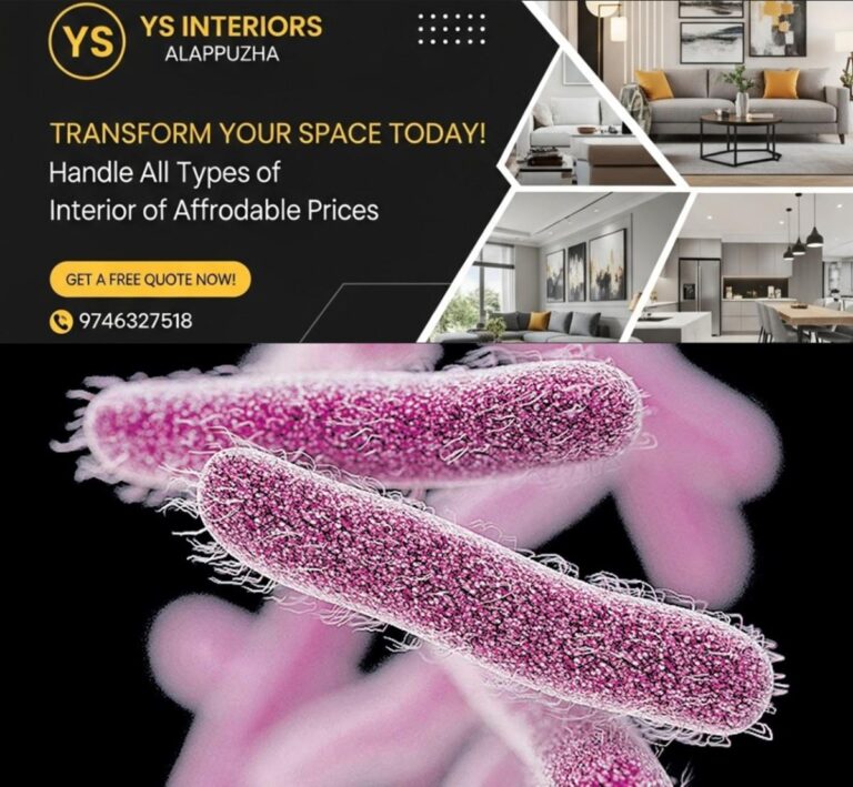 newskerala.net_1781600888_1781226382_shigella