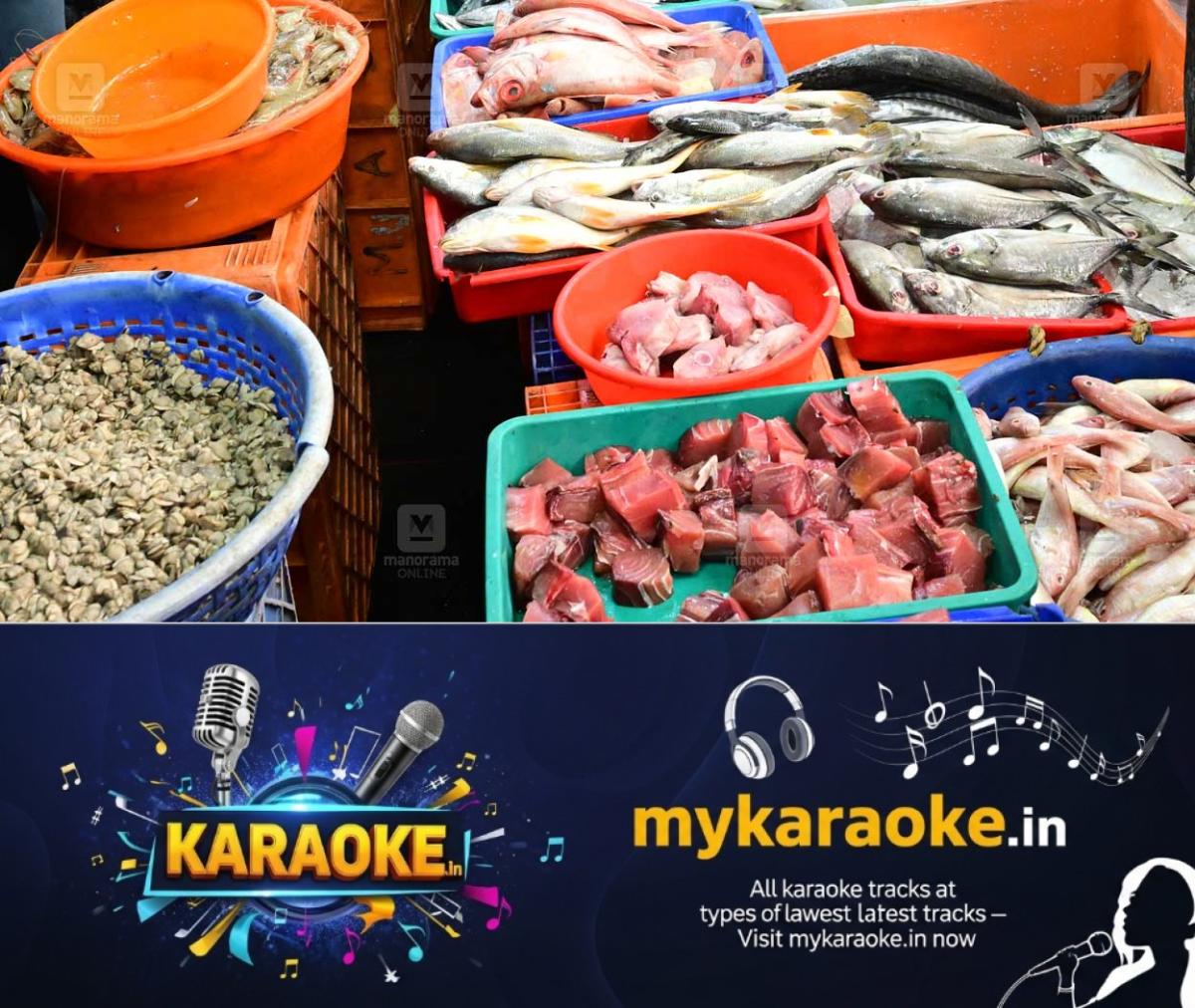 newskerala.net_1781678051_fish-market