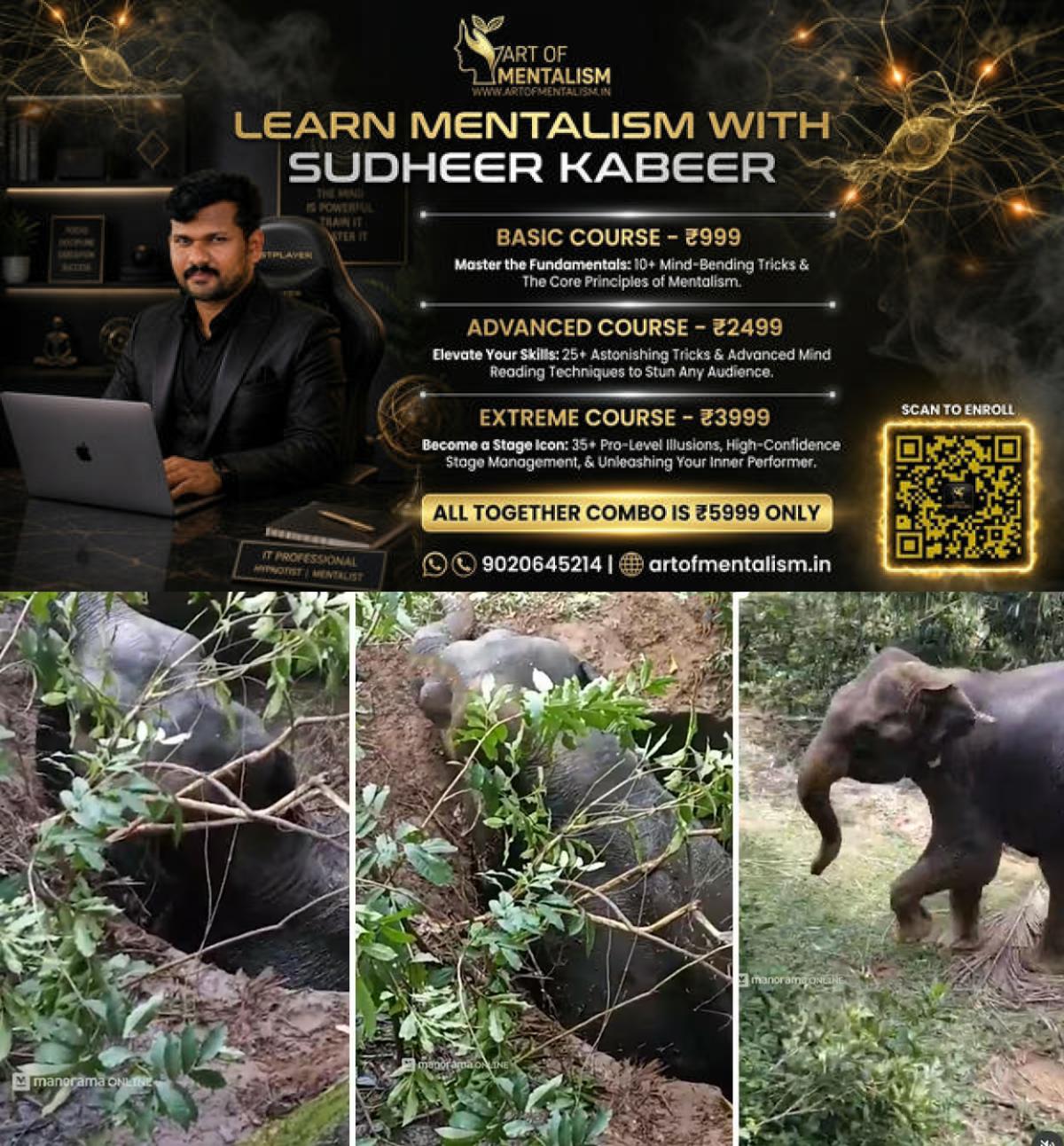 newskerala.net_1781775015_wild-elephant-edakkara