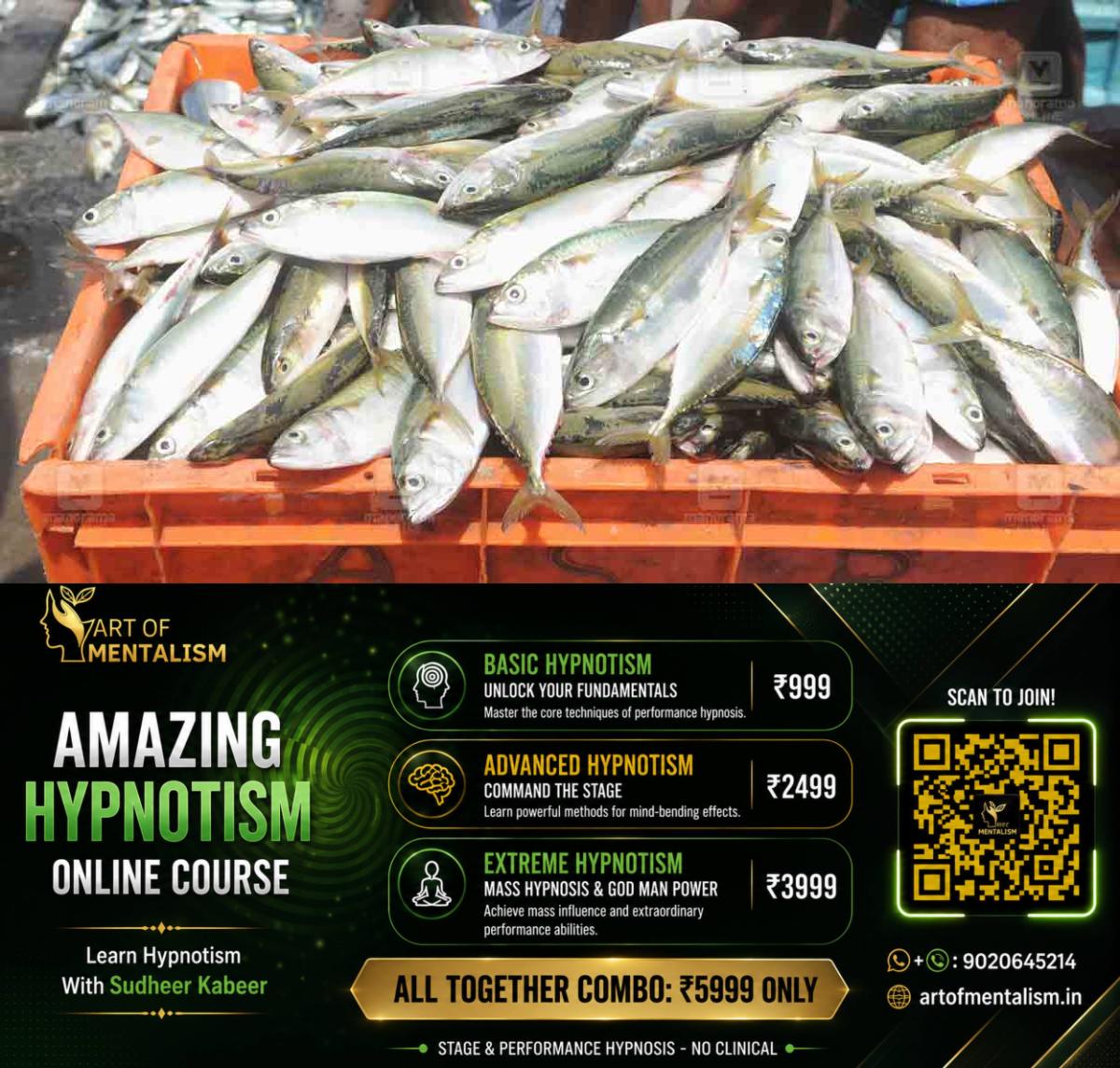 newskerala.net_1781785330_ayala-fish-1