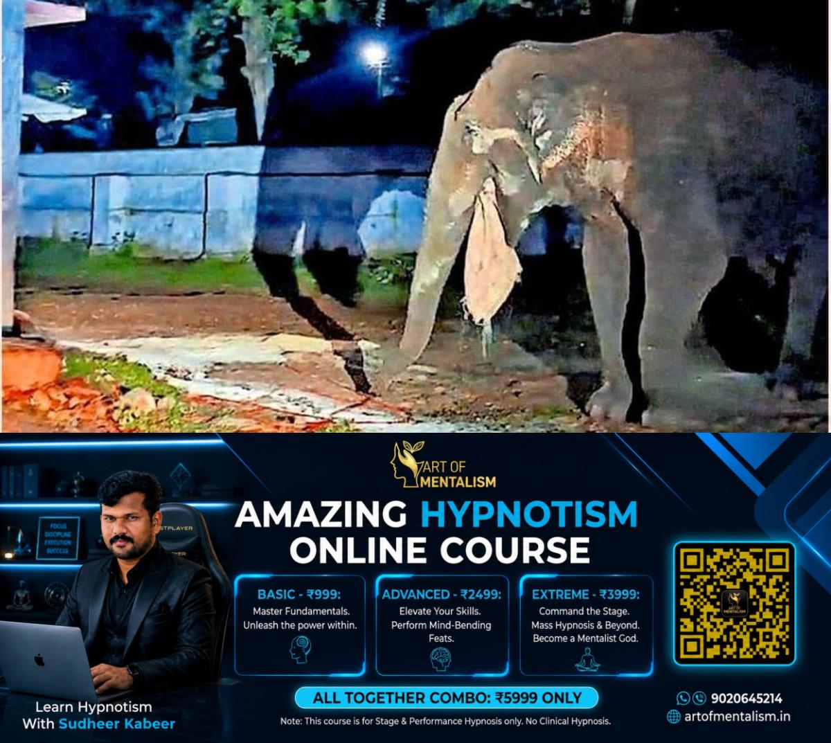 newskerala.net_1781862437_elephant-attack