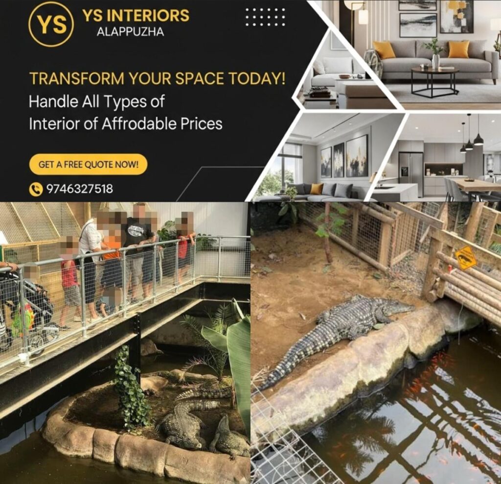 newskerala.net_1782061687_w-1280h-720format-jpgimgid-01kvnhhvh883ztx3ypht6sr68aimgname-crocodile-pit-zoo-1782060740136