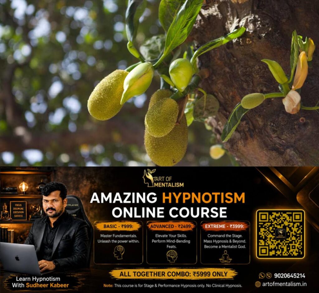 newskerala.net_1782100092_jack-fruit-3
