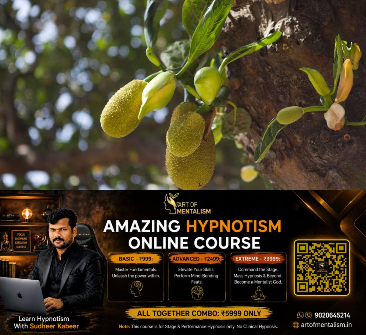 newskerala.net_1782100092_jack-fruit-3