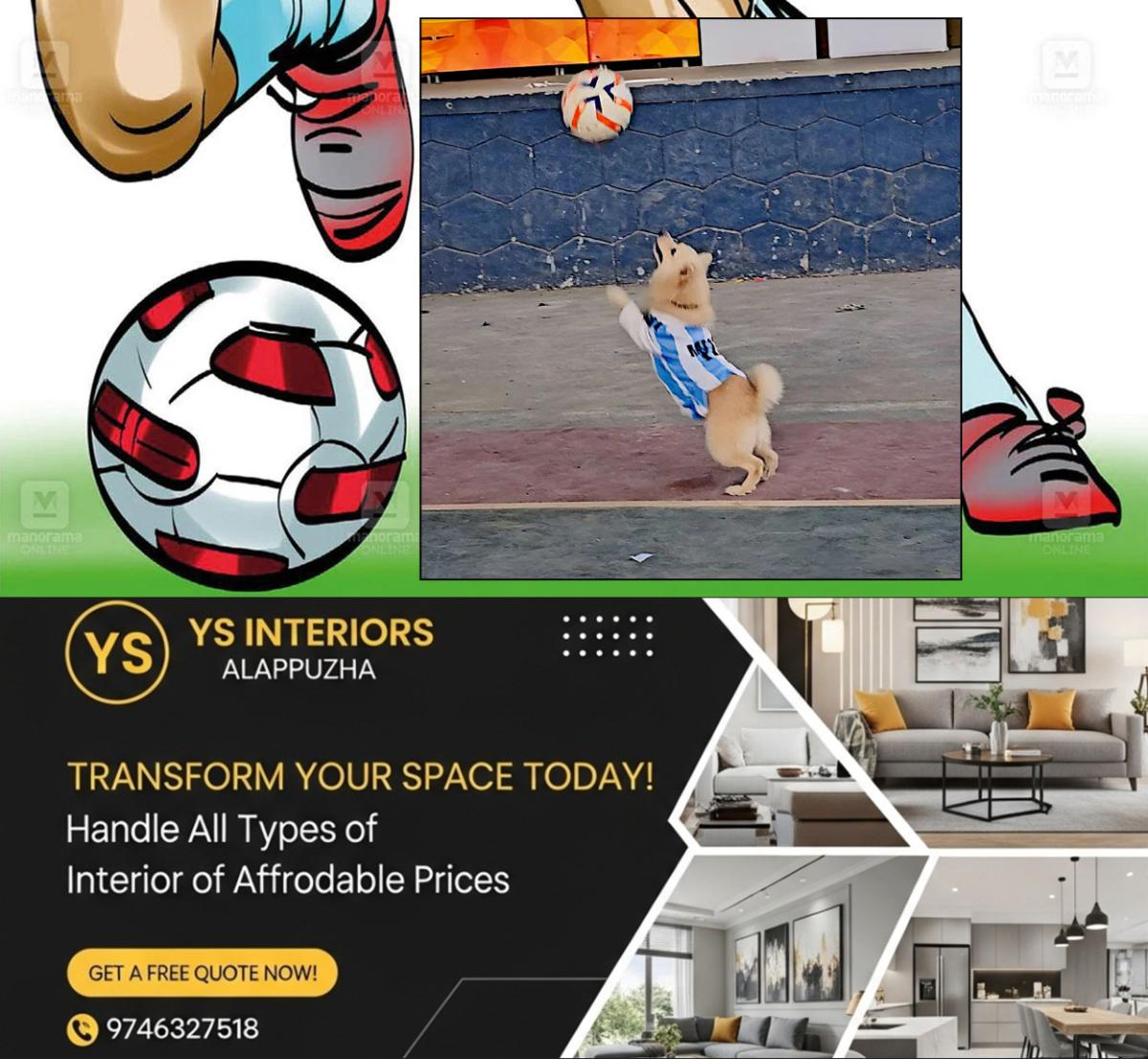 newskerala.net_1782112811_pet-dog-ammu-football-playing