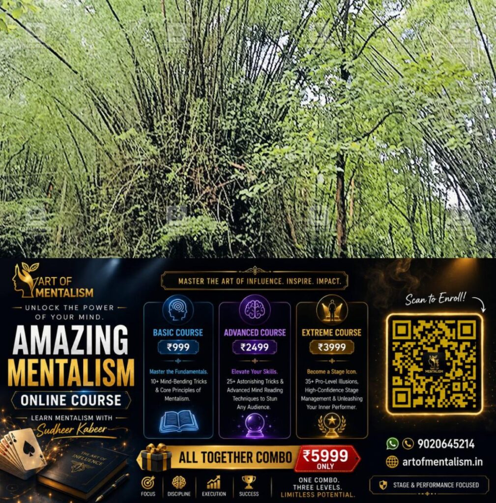 newskerala.net_1782380049_bamboo-ranni-1