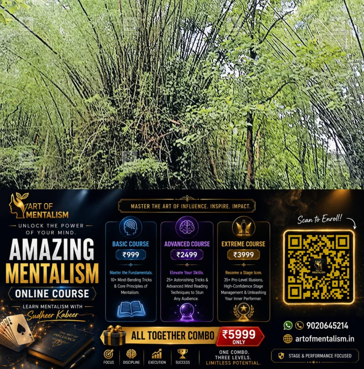 newskerala.net_1782380049_bamboo-ranni-1