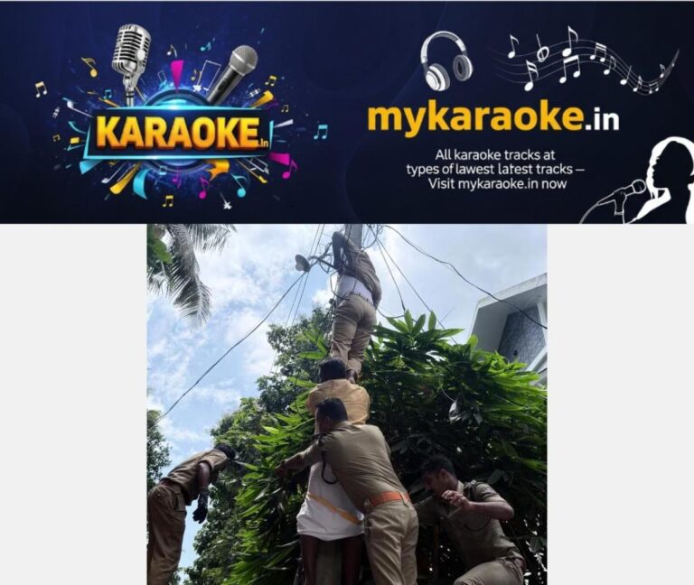 newskerala.net_1782390367_kothamangalam-electricity-rescue