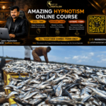 newskerala.net_1782395290_sardine-fishes