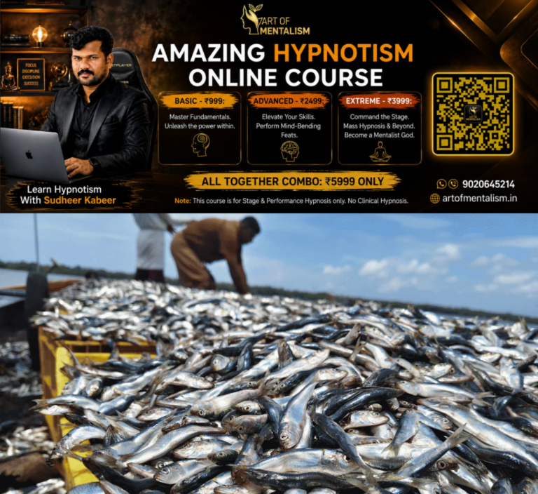 newskerala.net_1782395290_sardine-fishes