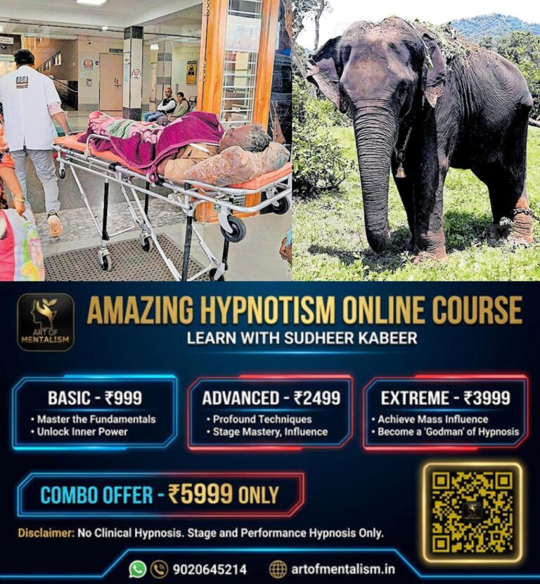 newskerala.net_1782546369_elephant-attack-ootty