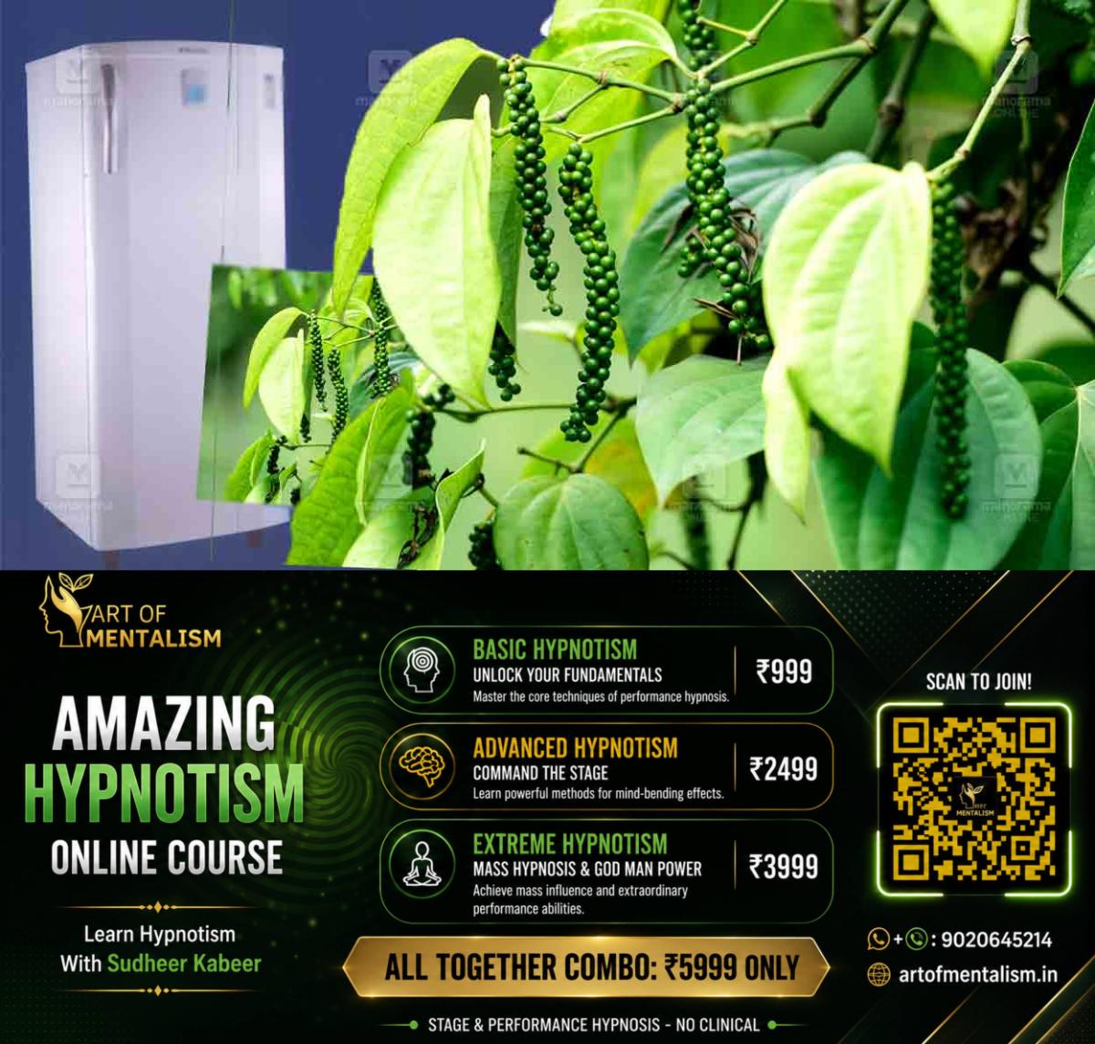 newskerala.net_1782714008_Refrigerator-pepper