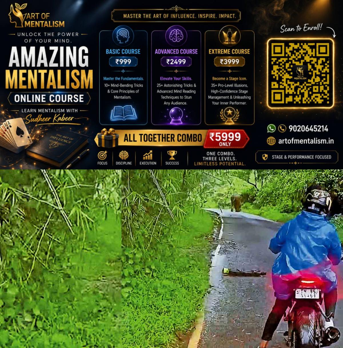 newskerala.net_1782718092_wild-elephant-bike-attack
