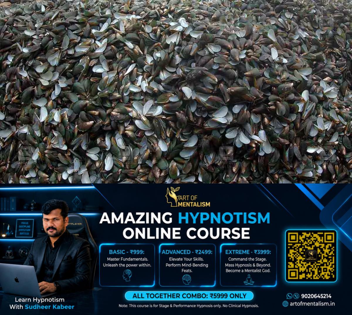newskerala.net_1782734647_musell-shell