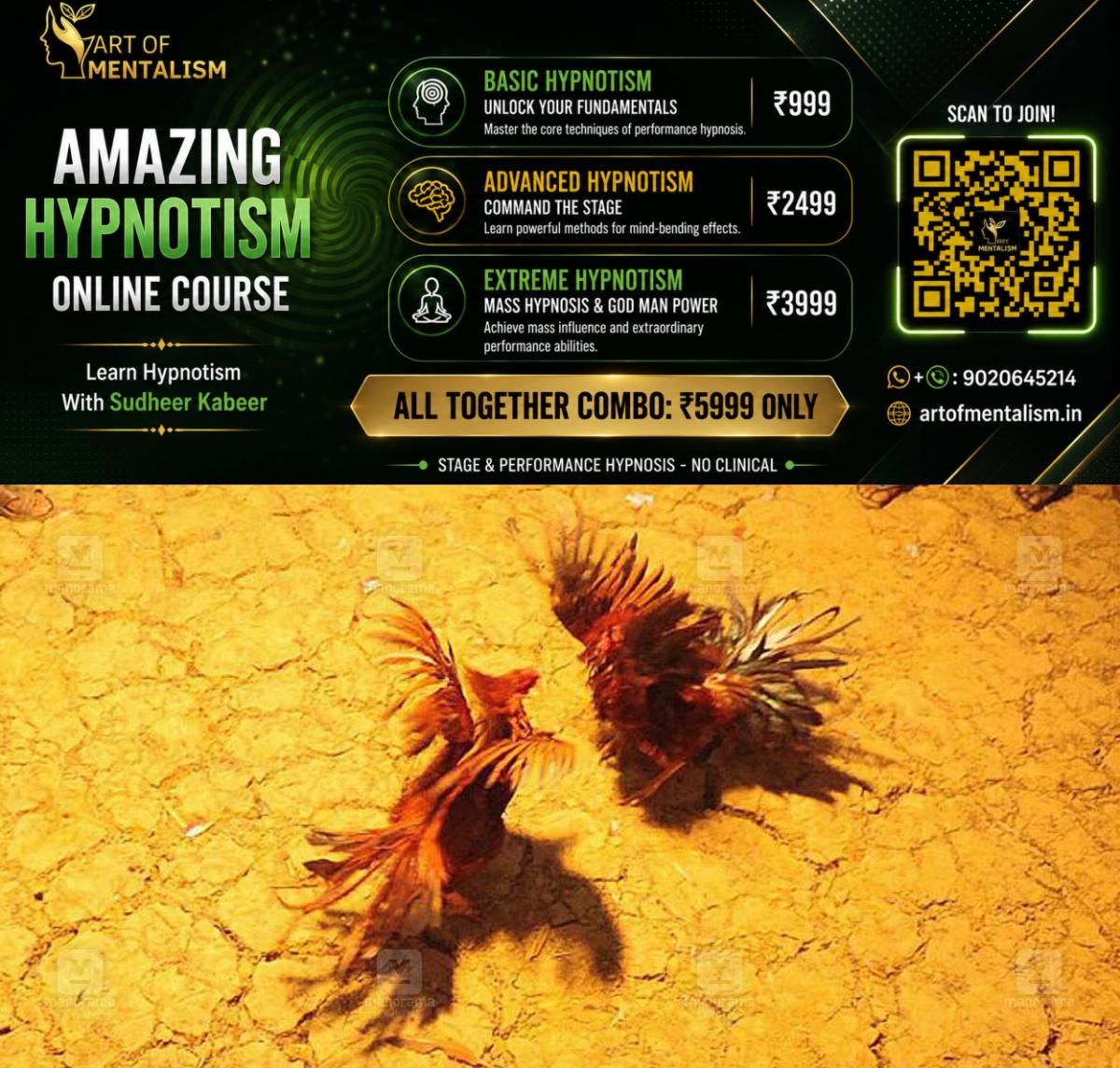 newskerala.net_1782804970_cockfighting-1