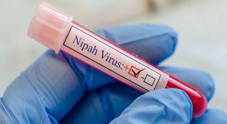 nipah-1-1.jpg