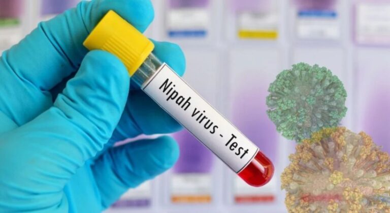 nipah-2.jpg