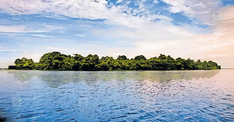 pathiramanal-island-1.jpg