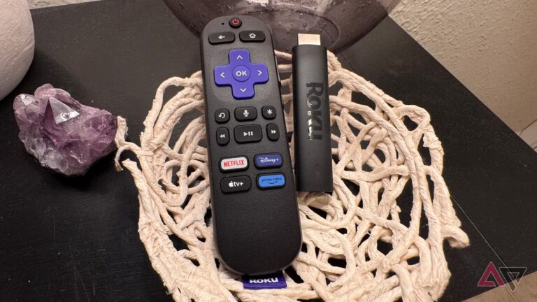 roku-streaming-stick-4k-and-remote-in-paper-bowl.JPG