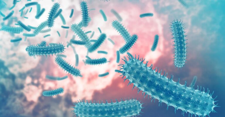 shigella.jpg