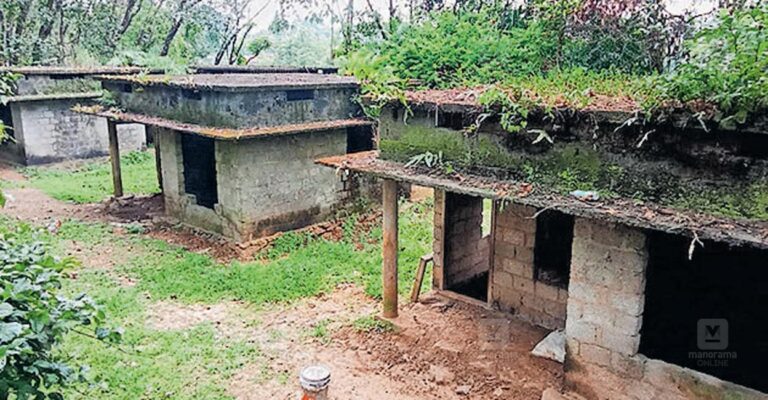 vazhakulam-scheduled-caste-housing-1.jpg