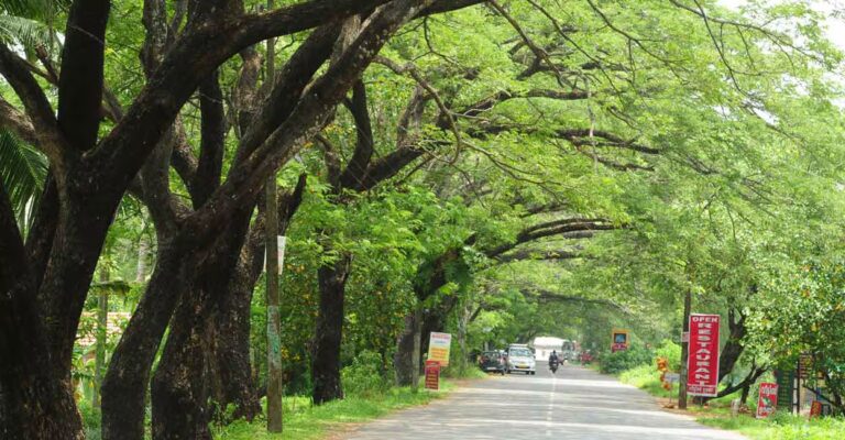 Kumarakom-travel-guide.jpg