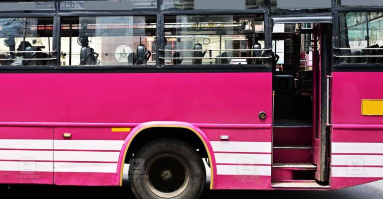 Thodupuzha-Town-bus.jpg