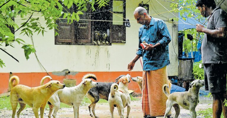 alappuzha-couple-rescues-stray-animals-1.jpg