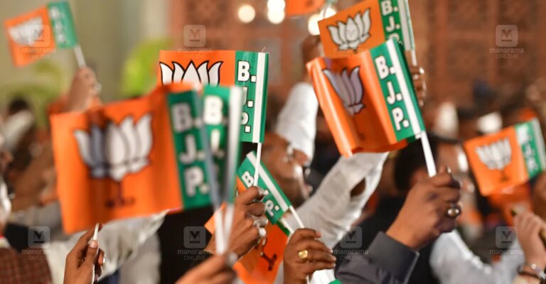 bjp-flags-1.jpg