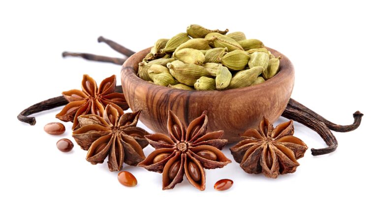 cardamom-main.jpg