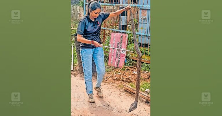 cobra-snake-rescue-kozhikode-1.jpg
