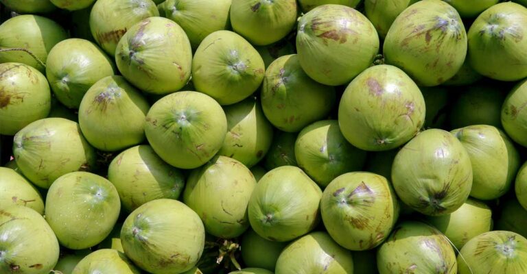 coconut.jpg